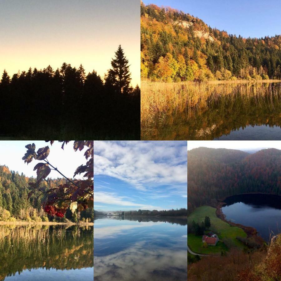 Gite Des Lacs Jumeaux Clairvaux-les-Lacs Esterno foto